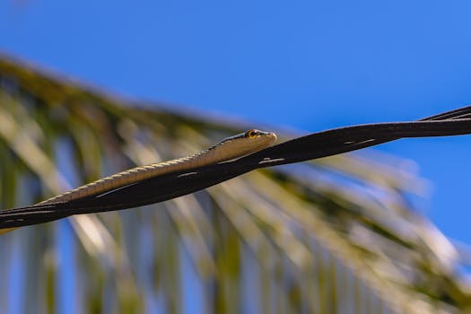 彭文成详解博迈科战略。公司坚定立足海洋油气优势；持续强化创新与绿色发展路径。