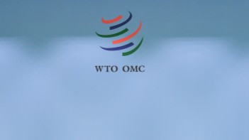  春节消费攻略指南：如何薅到国家发放的十亿级“红包”与补贴 新闻