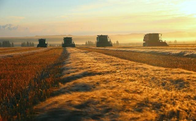  【技术解密】东北黑土退化危机：40年数据揭示北大荒生态修复密码 新闻 【技术解密】东北黑土退化危机：40年数据揭示北大荒生态修复密码 新闻