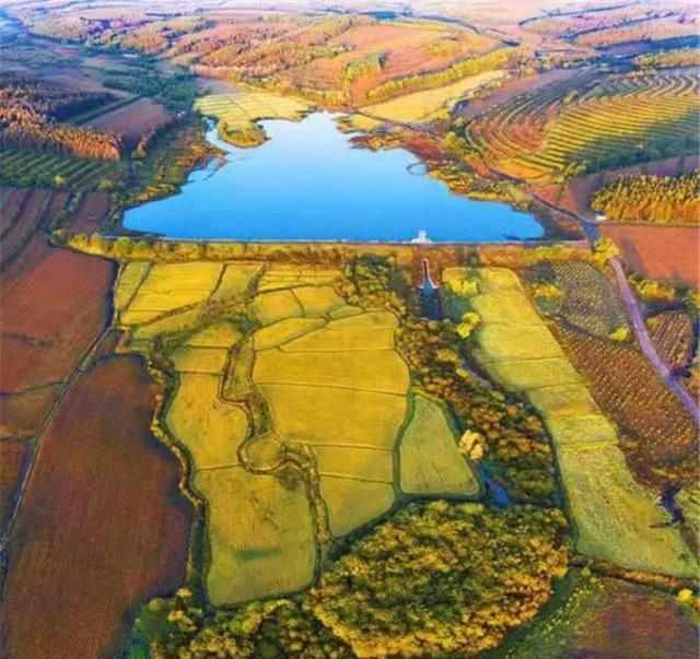  【技术解密】东北黑土退化危机：40年数据揭示北大荒生态修复密码 新闻 【技术解密】东北黑土退化危机：40年数据揭示北大荒生态修复密码 新闻