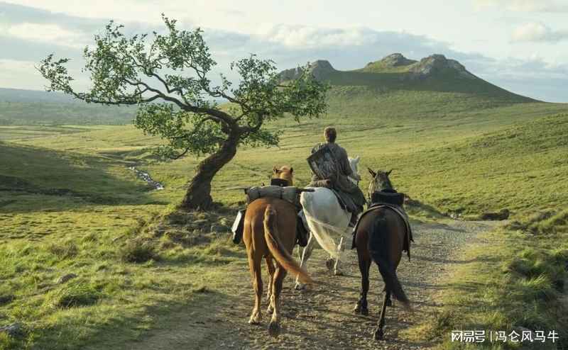 创业选择法则：从自我认知到持久经营的方法论