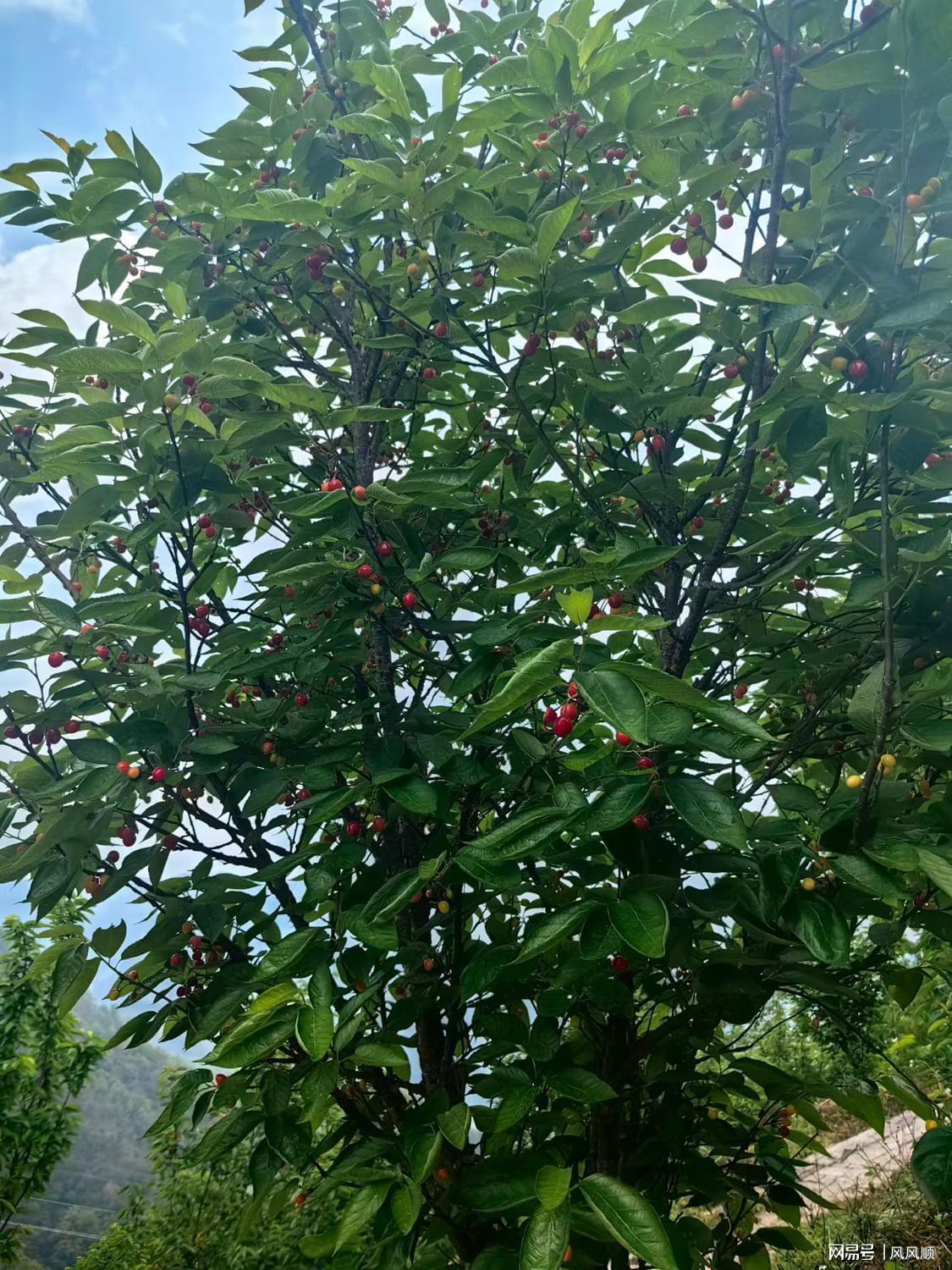 【深度复盘】中东黑天鹅与产业链新政共振：A股多空博弈底层逻辑全解