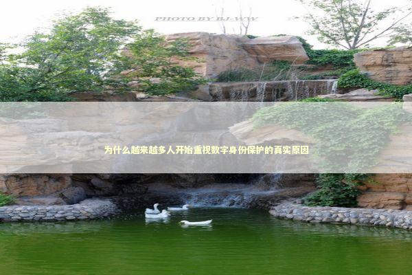 为什么越来越多人开始重视数字身份保护的真实原因 IT技术