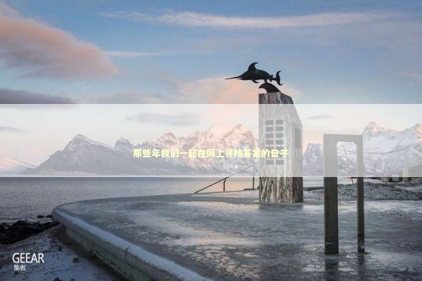 那些年我们一起在网上寻找答案的日子 IT技术