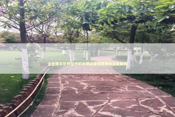 企业数字化转型中的合规运营管理策略深度解析 IT技术