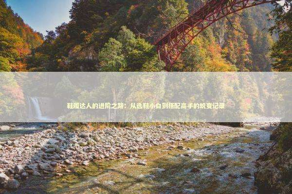 鞋履达人的进阶之路：从选鞋小白到搭配高手的蜕变记录 时尚用品