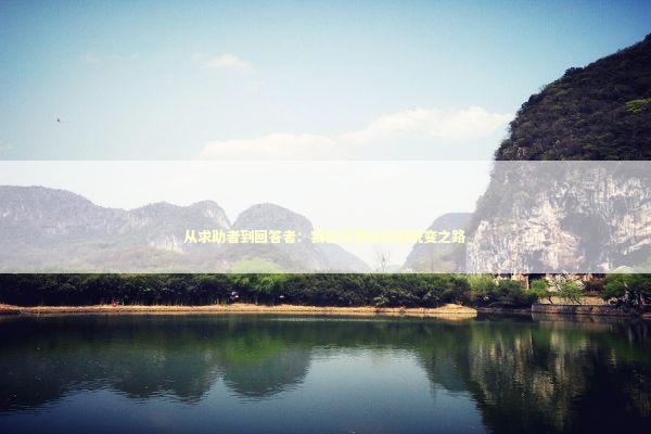 从求助者到回答者：我在问答社区的蜕变之路 IT技术