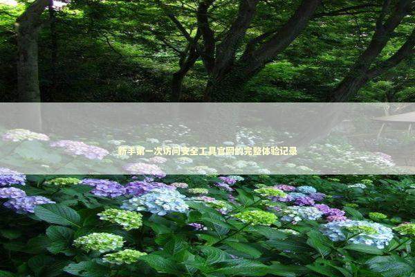 新手第一次访问安全工具官网的完整体验记录 IT技术