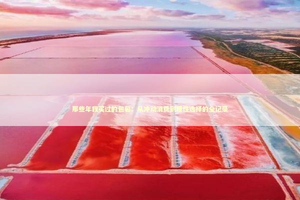 那些年我买过的包包：从冲动消费到理性选择的全记录 时尚用品