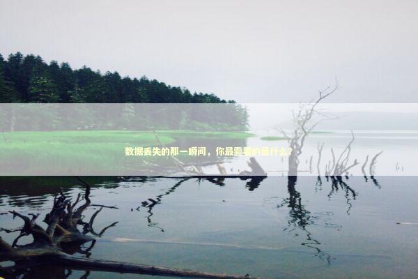 数据丢失的那一瞬间，你最需要的是什么？ IT技术